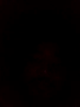 Frederico3302 online show from 03/02/26, 07:15