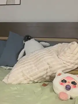 Snapshot of Rin-yiyi chatting on 03/08/26, 02:21 Rin-yiyi online show from 03/08/26, 02:21