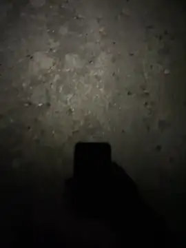 Snapshot of stallone_italiano_62 chatting on 02/17/26, 11:22 stallone italiano 62 online show from 02/17/26, 11:22