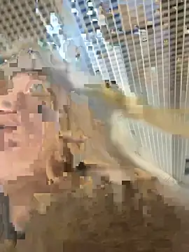 -OliviaSoft online show from 03/01/26, 02:41