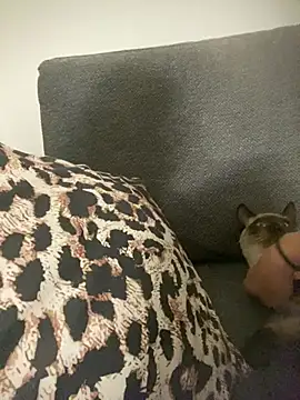 Snapshot of little_dreamer_ chatting on 03/09/26, 07:18 little dreamer online show from 03/09/26, 07:18