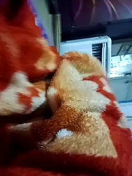 yusu 3 online show from 03/19/26, 06:45