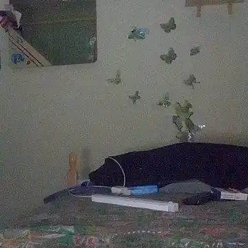 Porcellini2269 online show from 04/16/26, 09:26