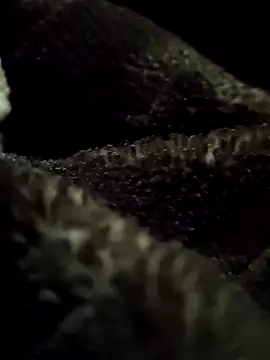 Snapshot of aryanvfit chatting on 02/09/26, 06:01 aryanvfit online show from 02/09/26, 06:01