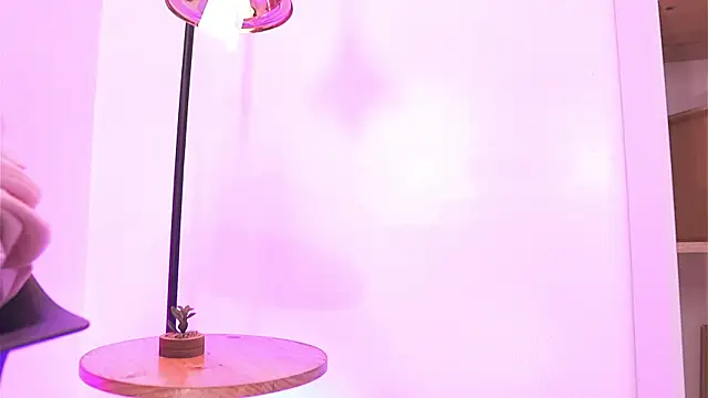 Shopie Colucci online show from 04/13/26, 04:01