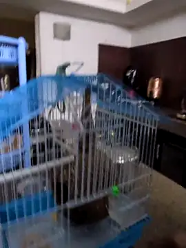 sexysilmy online show from 02/25/26, 08:35