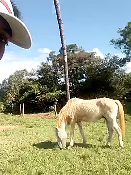 Snapshot of nego5628 chatting on 03/08/26, 06:12 nego5628 online show from 03/08/26, 06:12