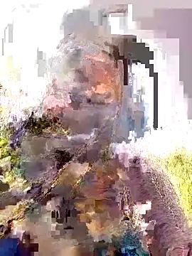 Pallavi hote online show from 02/22/26, 06:02