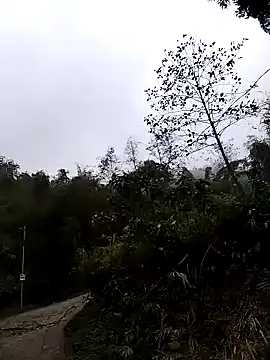 lovely-742 online show from 03/24/26, 01:54