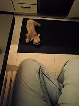 Snapshot of Ginevra01 chatting on 03/09/26, 08:24 Ginevra01 online show from 03/09/26, 08:24