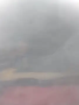 Snapshot of cobrosdepagos chatting on 03/14/26, 03:06 cobrosdepagos online show from 03/14/26, 03:06