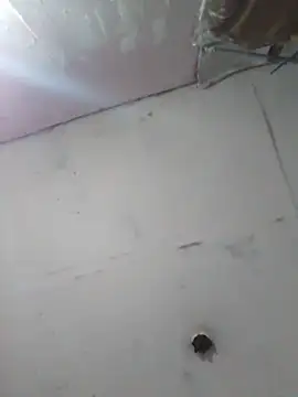 Snapshot of cobrosdepagos chatting on 04/11/26, 04:17 cobrosdepagos online show from 04/11/26, 04:17