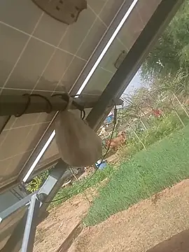 mastmalai online show from 03/17/26, 04:39