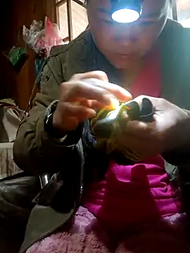 nelina 12345 online show from 03/23/26, 01:31