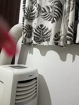 Snapshot of safadinhaputinha69 chatting on 02/24/26, 10:52 safadinhaputinha69 online show from 02/24/26, 10:52