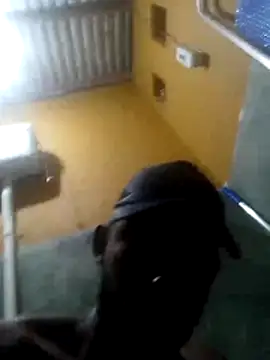 Deniodamasio online show from 03/01/26, 09:06