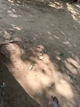 Locky kamani online show from 02/16/26, 08:21