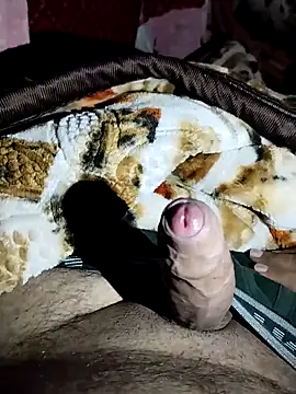 Snapshot of harryxxx82 chatting on 02/18/26, 07:37 harryxxx82 online show from 02/18/26, 07:37