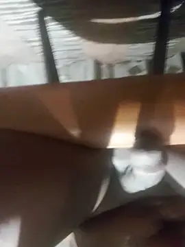 Snapshot of Cookiesucker2025 chatting on 03/15/26, 11:55 Cookiesucker2025 online show from 03/15/26, 11:55