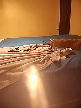 Snapshot of MissBella0969 chatting on 04/04/26, 06:00 MissBella0969 online show from 04/04/26, 06:00