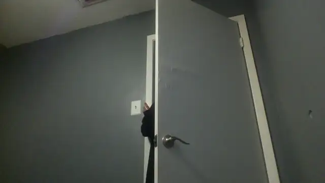 Snapshot of MissBella0969 chatting on 04/25/26, 04:37 MissBella0969 online show from 04/25/26, 04:37