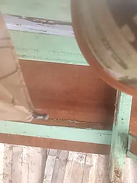 euchapo99 online show from 02/19/26, 01:51