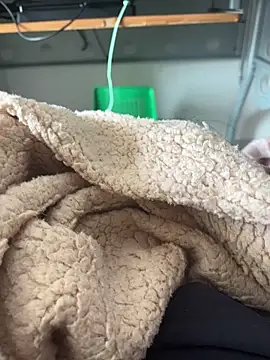 D4n13l47 online show from 03/04/26, 09:59