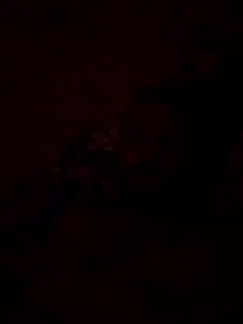 Blisiomar online show from 05/30/26, 12:52