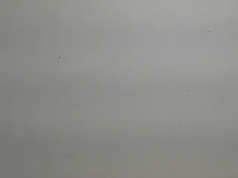 risu 00 online show from 03/06/26, 03:30