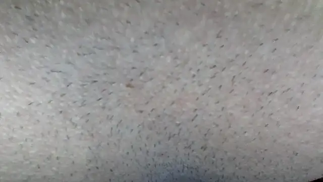 Snapshot of machodotado97 chatting on 03/15/26, 05:13 machodotado97 online show from 03/15/26, 05:13