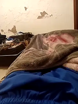 Mineirinho 85 online show from 04/12/26, 05:01