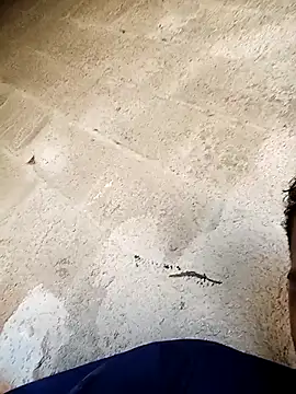 negopreto  online show from 02/24/26, 07:34