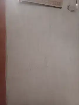 Snapshot of negopreto_ chatting on 07/19/26, 02:48 negopreto online show from 07/19/26, 02:48
