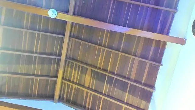 Snapshot of TonyPetrovjs chatting on 02/26/26, 05:50 TonyPetrovjs online show from 02/26/26, 05:50