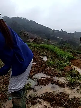 Snapshot of ngocbao11 chatting on 03/06/26, 07:16 ngocbao11 online show from 03/06/26, 07:16