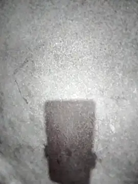 Snapshot of ngocbao11 chatting on 03/10/26, 12:54 ngocbao11 online show from 03/10/26, 12:54