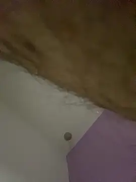 dimitri25987 online show from 04/17/26, 07:33