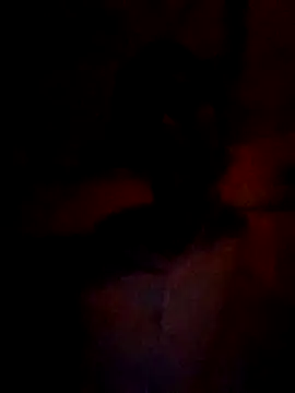 Snapshot of wifedesi7050 chatting on 03/05/26, 04:47 wifedesi7050 online show from 03/05/26, 04:47