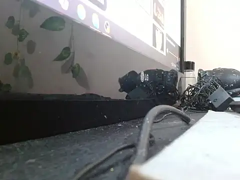 powderblu69 online show from 05/06/26, 06:57