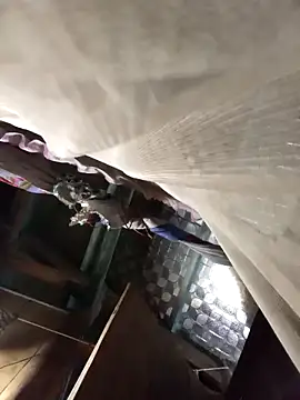 Snapshot of Big-all012 chatting on 02/23/26, 09:50 Big-all012 online show from 02/23/26, 09:50