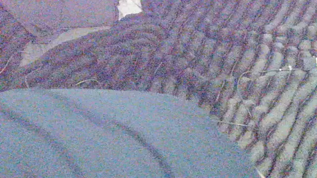 Snapshot of elong007 chatting on 04/01/26, 03:53 elong007 online show from 04/01/26, 03:53