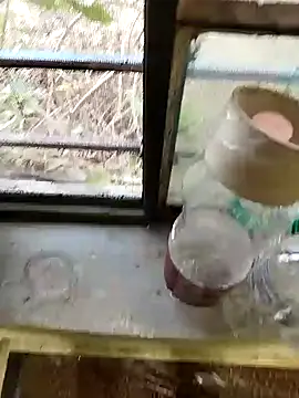 blackbeauty321 online show from 02/26/26, 11:20