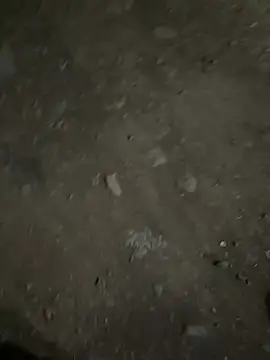 Snapshot of parth73637 chatting on 02/23/26, 02:47 parth73637 online show from 02/23/26, 02:47