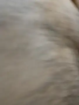 Snapshot of horny_boy_45 chatting on 04/23/26, 04:20 horny boy 45 online show from 04/23/26, 04:20