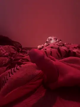 Snapshot of 689Nika chatting on 04/07/26, 01:11 689Nika online show from 04/07/26, 01:11