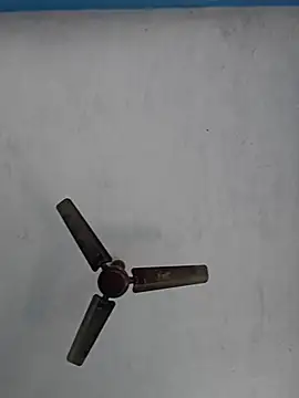 Snapshot of 67sanju chatting on 02/28/26, 04:46 67sanju online show from 02/28/26, 04:46