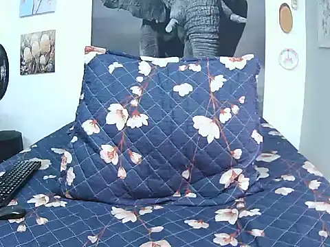 FireMontana9 online show from 03/01/26, 01:57