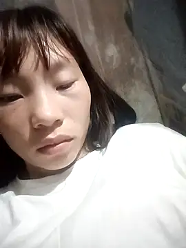 pic8800 online show from 04/29/26, 05:30