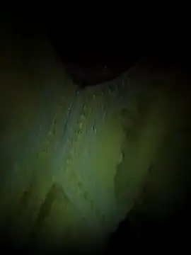 Snapshot of Rashmika_Mandana chatting on 04/08/26, 07:03 Rashmika Mandana online show from 04/08/26, 07:03