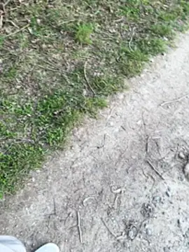 Snapshot of aras__25 chatting on 03/09/26, 02:43 aras 25 online show from 03/09/26, 02:43